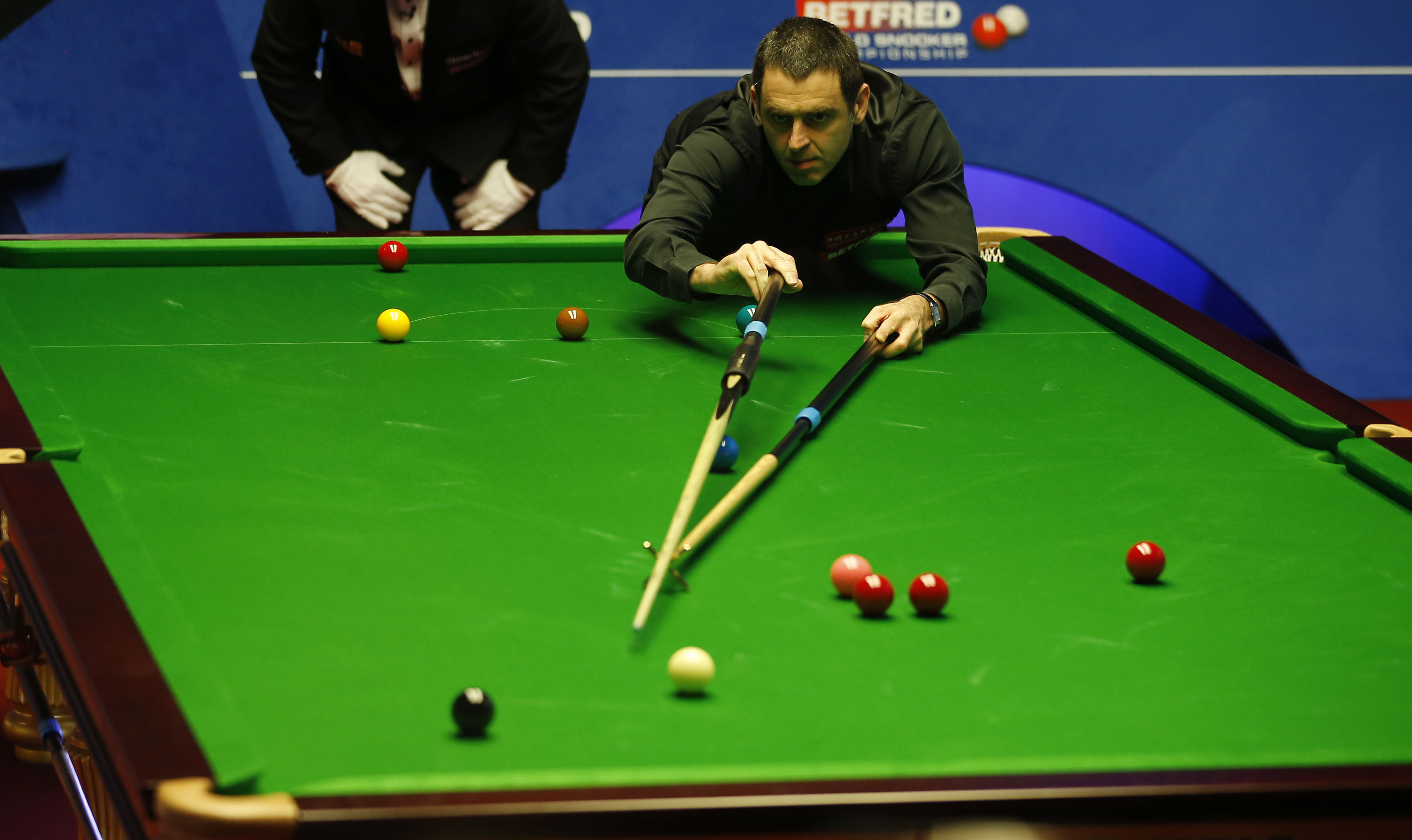 球队的板凳 球队的板凳