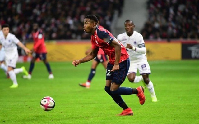 该品牌的新 该品牌的新