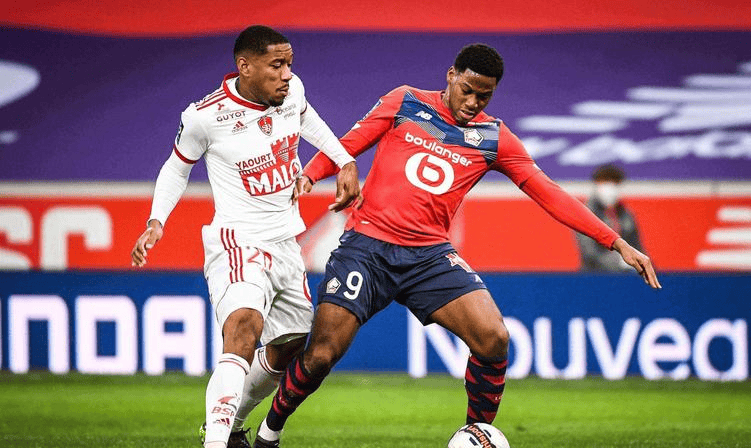 训练中出现 训练中出现