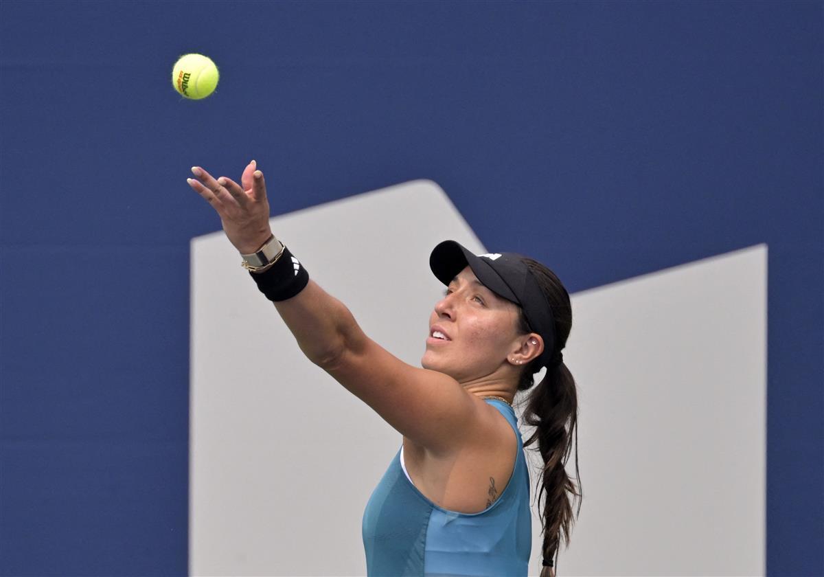 体数量略低 体数量略低