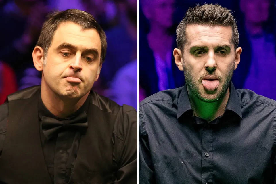 相信山东体 相信山东体