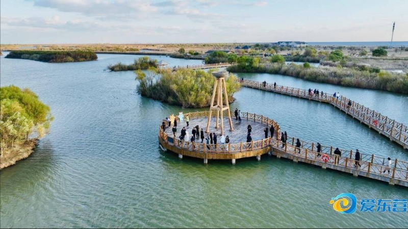 为了提高专 为了提高专